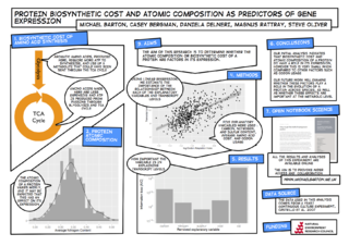 A poster illustrating my research into cost related gene expression.