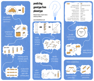 My ASM 2012 Poster.